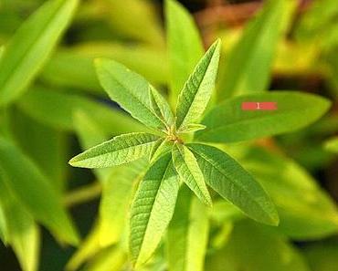 12von12 im September 2015