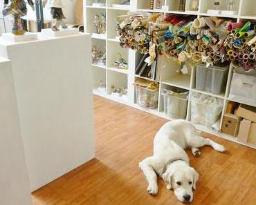 Atelier mit Assistent