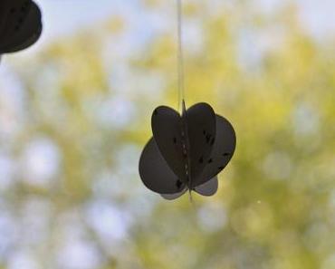 one pic a day | 261 | Arbeit | Fotografie