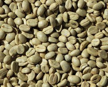 Grüner Kaffeeextrakt und seine positive Wirkung auf unsere Gesundheit