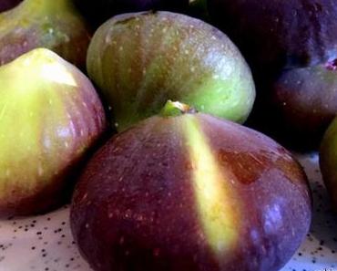 Feigenernte und die Highlights im September