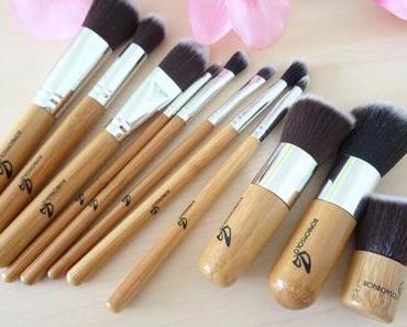 Günstiges Einsteiger Pinselset ❀