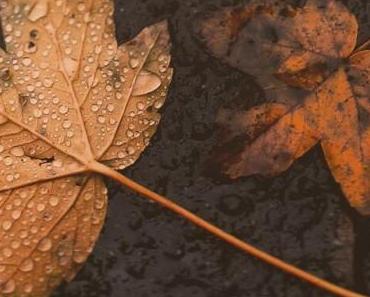 wallpaper-1689754