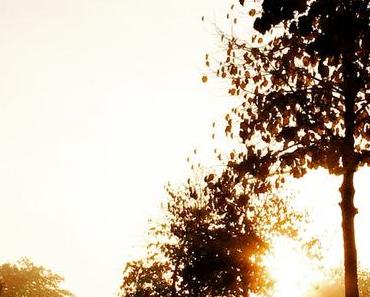 Chillout Mix: Drakoviens – Inner Spaces