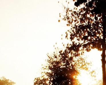 wallpaper-1689754