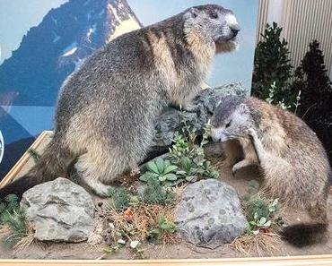 Milka Event im Burggarten – Lila liebt Grün