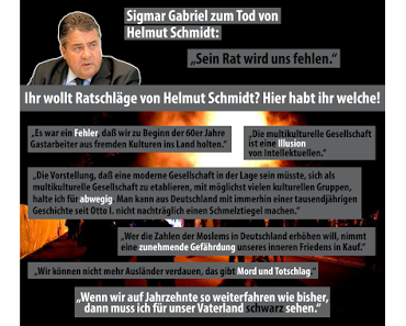 Helmut Schmidts Tod veranlasste Polit- und Medienbonzen zur Selbstbezichtigung der Unmoral