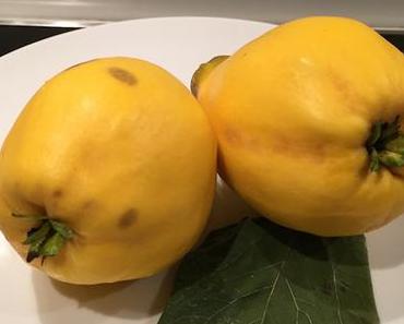 Gerüchteküche-Küchengerüchte