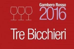 FRIAUL JULISCH VENTIEN – DIE 3 GLÄSER WEINE 2016 (Tre bicchieri) GAMBERO ROSSO VINI D’ITALIA