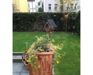 Ungemütlicher „Jürgen“