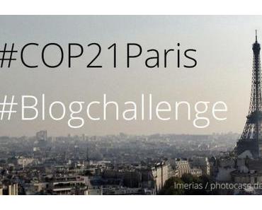 Dieses Video zeigt worum es geht beim Klimagipfel #COP21 in Paris