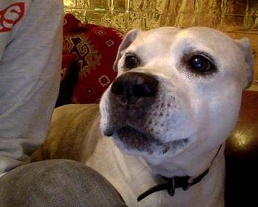 Justine privat - Stress, Stress, Stress