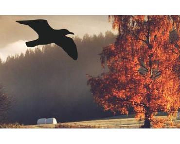 Nachtmusik von Braak: The Alleys Mix – October 2015
