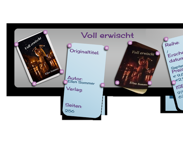 Rezension: Voll erwischt