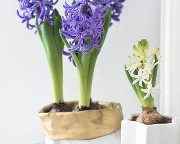 [Nachmachtipp] Übertopf aus alten Jeans