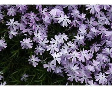 Wie hat sich die Welt doch verändert! Ob positiv, müsst Ihr selbst beurteilen.