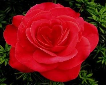 Was ich Dir wünsche?