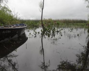 Flusskreuzfahrt auf dem Amazonas – eines der letzten Abenteuer