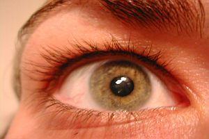 Gesehenes - Dezember 2015