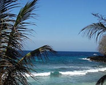 Back in Germany - Alltag, Job, Neues, Altes, Bewährtes.