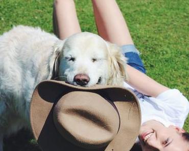 Recap of 2015: Top 5 Erlebnisse!