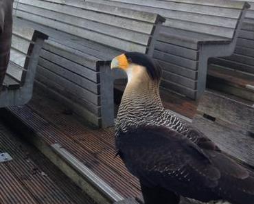 Burgen und Geschichten