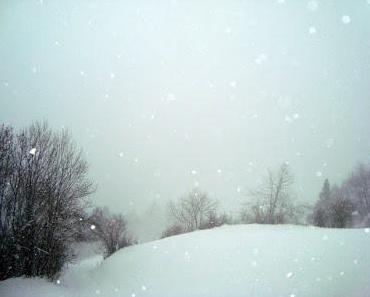 LILAC GRAY- eine der Trendfarben von Pantone