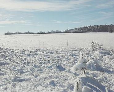 Glückspaket #2 2016 ...Leben ohne Plan?