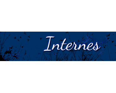 Achtung - Wichtig  Up Date zu Google Friend Connect