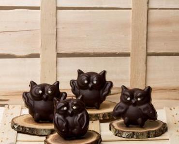 Chocolate covered lemon owls