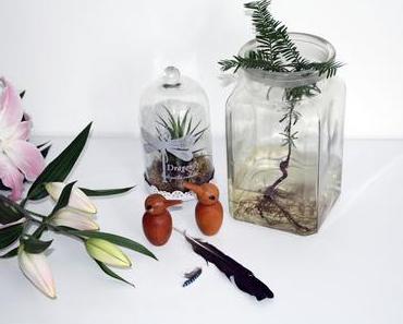 Ahhhhhhwahhaaaahaaaaa oder Rrrrrrrooooooaaaaarrrrr?