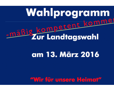 Meinungsmontag: AfD-Parteiprogramm für Sachsen-Anhalt, heiter bis wolkig kommentiert