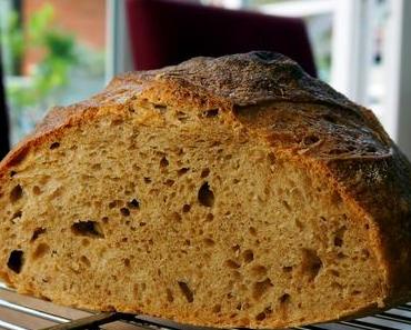 Same same but different: Hartweizenmehl zum Brotbacken
