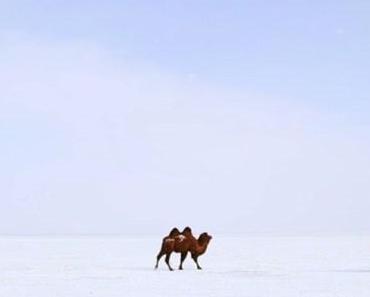 wallpaper-1689754