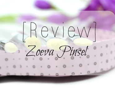Review: Zoeva Pinsel