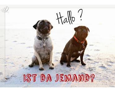 Leseclub & Wohnzimmerlesungen in SALZBURG? :)