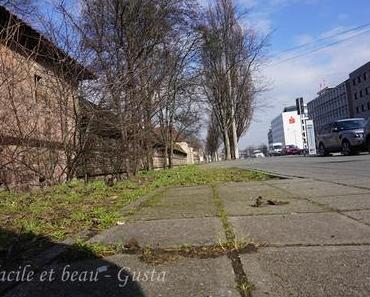 Cam Underfoot #10: Fahrradzähler