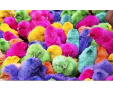 Iran: kein Hotel in Isfahan