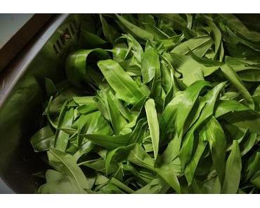 Schnelle Bärlauchsuppe mit Mozzarella