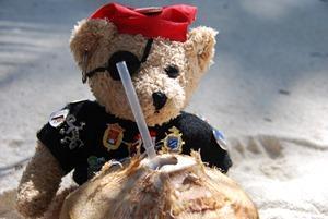 Coco Loco auf der Isla Saona in der Dominikanischen Republik