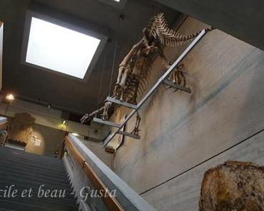 Naturhistorisches Mueum Teil 4