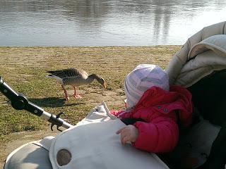 SchaumalhereinKaffeeklatsch: Die perfekte Mutterrolle, Hausfrau, Karriere oder beides?