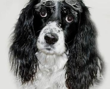 5 Fehler, die du unbewusst beim Haarwaschen machst