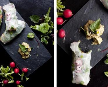 Reispapierrollen und warum Rohkost gar nicht so übel ist!