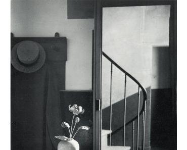 André Kertész: Budapest – Paris – New York