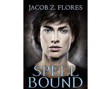 Rezension: Spell Bound - Warlock Brothers Band 1
