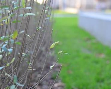 „Der berühmt berüchtigte Weg“  – ich hab meinen gefunden!