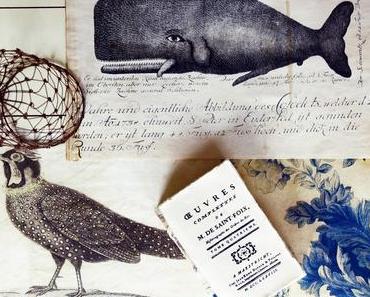 Nostalgische Kunstdrucke: der Wal, Flora und Meleagris Satyra
