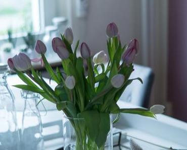 Flowers | Tulpen in zarten Farben