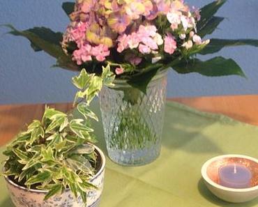 Hortensie & Tausendschön – oder – Frühling ohne Tulpen